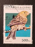 [Birds, type APV]