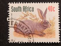 [Endangered Fauna, típus ALN]