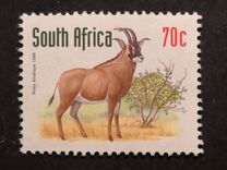 [Endangered Fauna, típus ALQ]