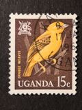 [Birds, tyyppi AA]