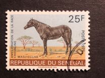 [Horse-breeding Improvement Campaign, 유형 KE]