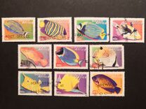[Fauna and Flora - Fish, type ASI]