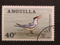[Native Birds, type Y]