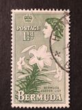 [Local Motives and Queen Elizabeth II, type AZ]