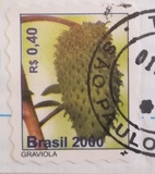 [Fruits - Self Adhesieve, typ DLJ]