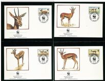 [The Red-fronted Gazelle, Tipe LD]