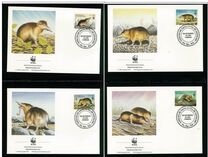 [The Haitian Solenodon, typ AQZ]