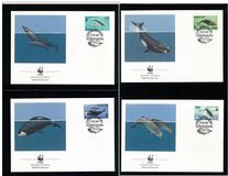 [North Atlantic Whales, type GJ]