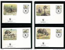 [The Greater Rhea, Scrivi AWD]