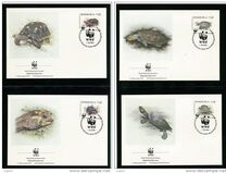 [Tortoises, type CZM]