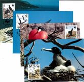 [Endangered Species - Ascension Frigatebird, type QE]