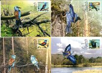 [WWF - European Roller, type XJ]