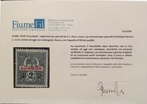 [Hungary Express Stamp of 1916 Overprinted "FIUME", type B1]