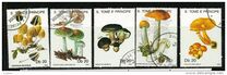 [Fungi, tyyppi AAZ]