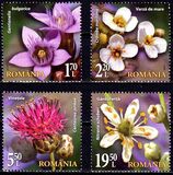 [Flora from National Reserves, tegund LGW]