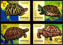 [Fauna - Turtles, type LKF]