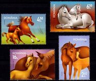 [Fauna - Horses, 類型 LLG]