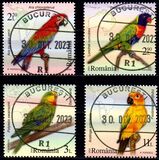 [Birds - Parrots, Typ LVL]