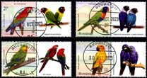 [Birds - Parrots, Typ LVL]