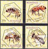 [European Honey Bees, type JEJ]