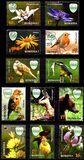 [Flora & Fauna - Ceahlau National Park, type KFI]