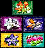 [The 150th Anniversary of the Bucharest Botanical Garden, type JGD]