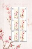 [Flowers - Peach Blossom, type JJK]