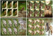 [Birds of Prey - Owls, տեսակ JQM]