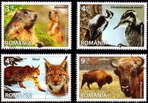 [Fauna - Species of Romania, Вид JRT]