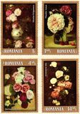 [Roses in Painting, tip JSB]