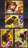 [Fruits and Fauna, Вид JVV]