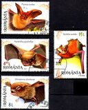 [Fauna - Bats, type KFU]