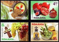 [Live Healthy - Bible Foods, Вид KGY]