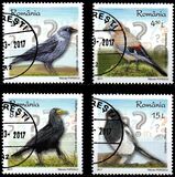 [Intelligent Birds, type KHV]
