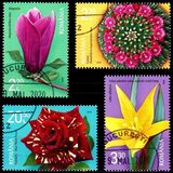[The 150th Anniversary of the Dimitrie Brandza Botanical Garden of the University of Bucharest, type LAW]