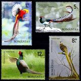 [Birds - Phesants, Tipi LBV]