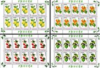 [Fruits, type ICV]