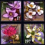 [Flora from National Reserves, type LGW]