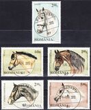[Horse Breeds, type JFQ]