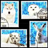 [Fauna - Polar Animals, tip LAC]