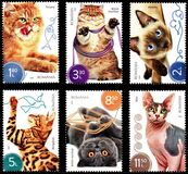 [Fauna - Cats, Tip LAG]