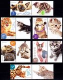 [Fauna - Cats, Tip LAG]