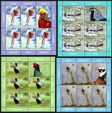 [Birds - Phesants, Tipi LBV]