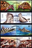 [Fauna - Leopard-type Animals, type LCO]