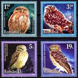[Birds - Little Owls, type LDG]