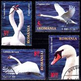 [The Danube Delta - Swans, type LDQ]