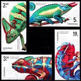 [Fauna - Chameleons, type LEE]