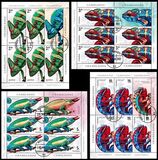 [Fauna - Chameleons, type LEE]