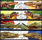 [Fauna - Crocodiles, type LFD]