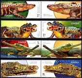 [Fauna - Crocodiles, տեսակ LFD]